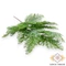 Mű zöld tuja ág 50 cm - hamvas szemből