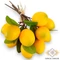Mű citrom köteg 5 szál 35 cm - sárga szemből