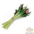Kép 3/3 - Mű gumi tulipán köteg kerek szirmú 7 szálas 27 cm - rózsaszín hátul
