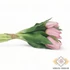 Kép 2/3 - Mű gumi tulipán köteg 7 szálas 29 cm - rózsaszín cirmos oldalt