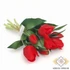 Kép 1/3 - Mű gumi tulipán köteg 7 szálas 29 cm - piros szemből