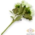 Kép 4/5 - Mű dahlia cameo csokor 7 szál selyem 37 cm - halványzöld hátul