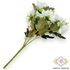 Kép 4/5 - Mű dahlia cameo csokor 7 szál selyem 37 cm - fehér hátul