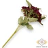 Kép 4/4 - Mű gerbera leandrii csokor 7 szál selyem 41 cm - bíbor hátul