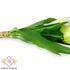 Kép 2/3 - Mű tulipán köteg 5 szál gumi 31 cm - fehér közeli