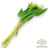 Kép 3/3 - Mű tulipán köteg 5 szál gumi 31 cm - fehér hátul