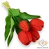 Kép 1/3 - Mű tulipán köteg 5 szál gumi 31 cm - piros szemből