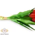Kép 2/3 - Mű tulipán köteg 5 szál gumi 31 cm - piros közeli