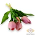 Kép 1/3 - Mű tulipán köteg 5 szál gumi 31 cm - rózsaszín szemből