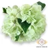 Kép 1/4 - Mű hortenzia csokor közepes 5 szál gumi 46 cm - almazöld szemből