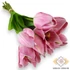 Kép 1/4 - Mű tulipán köteg nyíló 10 szál polifoam 51 cm - pink ferde