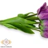 Kép 2/4 - Mű tulipán köteg nyíló 10 szál polifoam 51 cm - bíbor közeli