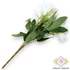 Kép 4/4 - Mű liliomfa csokor 7 szál bevonatos 37 cm - fehér hátul
