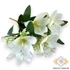 Kép 2/3 - Mű liliomfa csokor 7 szál bevonatos 37 cm - törtfehér ferde