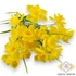 Kép 1/4 - Mű jonquil nárcisz csokor 6 szál gumi 33 cm - sárga szemből