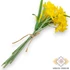 Kép 4/4 - Mű jonquil nárcisz köteg 5 szál gumi 30 cm - sárga hátul