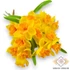 Kép 1/4 - Mű jonquil nárcisz köteg 5 szál gumi 30 cm - narancs szemből