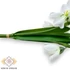 Kép 3/4 - Mű hóvirág köteg selyem 3 szál 24 cm - fehér oldalt
