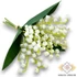 Kép 1/4 - Mű leveles gyöngyvirág köteg gumi 3 szál 28 cm - fehér szemből