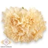 Kép 3/4 - Mű dália köteg szárított selyem 5 szál 29 cm - krém szemből