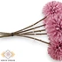 Kép 2/3 - Mű díszhagyma köteg 5 szál selyem 29 cm - halványlila közeli