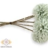 Kép 2/3 - Mű díszhagyma köteg 5 szál selyem 29 cm - világoszöld közeli
