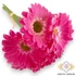 Kép 1/4 - Mű gerbera köteg kicsi 6 szál polifoam 27 cm - pink ferde