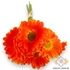 Kép 3/4 - Mű gerbera köteg kicsi 6 szál polifoam 27 cm - sötétnarancs szemből
