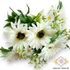 Kép 1/4 - Mű gerbera bokor selyem 11 szál 52 cm - törtfehér ferde