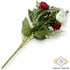 Kép 3/3 - Mű ranunculus vegyes csokor 5 szál selyem 33 cm - vörös-fehér hátul