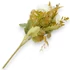 Kép 3/3 - Mű krizantém vegyes csokor 7 szál selyem 36 cm - törtfehér hátul