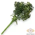Kép 3/3 - Mű zöld útszéli zsázsa csokor 7 szál 33 cm - sötétzöld hátul