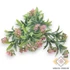 Kép 2/4 - Mű zöld achillea alpina csokor 5 szál 33 cm - rózsaszín váltó