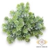 Kép 1/3 - Mű zöld kisfejű sedum köteg kicsi 6 szál 22 cm - világoszöld szemből
