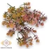 Kép 1/3 - Mű zöld kisfejű sedum csokor 5 szál 33 cm - színes szemből