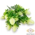 Kép 3/4 - Mű zöld banksia serrata csokor 7 szál 38 cm - törtfehér ferde