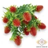 Kép 3/4 - Mű zöld banksia serrata csokor 7 szál 38 cm - piros ferde