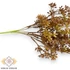 Kép 2/4 - Mű zöld crassula multicava csokor bimbós 5 szál 33 cm - barna oldalt