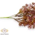 Kép 2/4 - Mű zöld crassula multicava csokor bimbós 5 szál 33 cm - bíbor oldalt