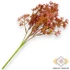 Kép 3/3 - Mű zöld crassula multicava csokor bimbós 5 szál 33 cm - rózsaszín hátul
