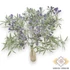 Kép 2/4 - Mű zöld podocarpus elatus csokor 5 szál 32 cm - lila álló