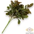 Kép 3/3 - Mű zöld orvosi zsálya csokor 5 szál 35 cm - barna hátul