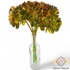 Kép 4/4 - Mű zöld aeonium köteg 6 szál 28 cm - narancs álló