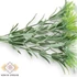 Kép 2/5 - Mű zöld sóvirág csokor 7 szál 35 cm - törtfehér oldalt