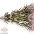Kép 2/5 - Mű zöld sóvirág csokor 7 szál 35 cm - fáradt rózsaszín oldalt