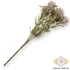 Kép 3/5 - Mű zöld sóvirág csokor 7 szál 35 cm - fáradt rózsaszín hátul