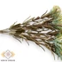 Kép 2/5 - Mű zöld sóvirág csokor 7 szál 35 cm - krémsárga oldalt