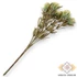 Kép 3/5 - Mű zöld sóvirág csokor 7 szál 35 cm - krémsárga hátul