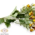 Kép 3/4 - Mű zöld tűztövis bokor 9 szál 45 cm - sárga-barna oldalt