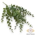 Kép 1/4 - Mű zöld euphorbia cotinifolia csokor közepes 5 szál 42 cm - zöld szemből